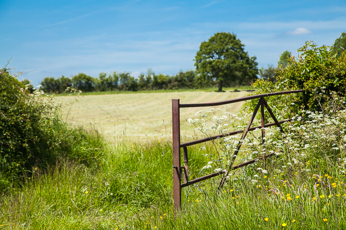 Gates (01)